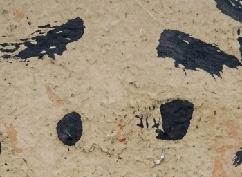 RAGGIO Davide Mansueto. 1 – Image 3