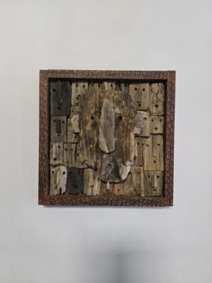 BOURLIER Marc. Physionomie. D 15