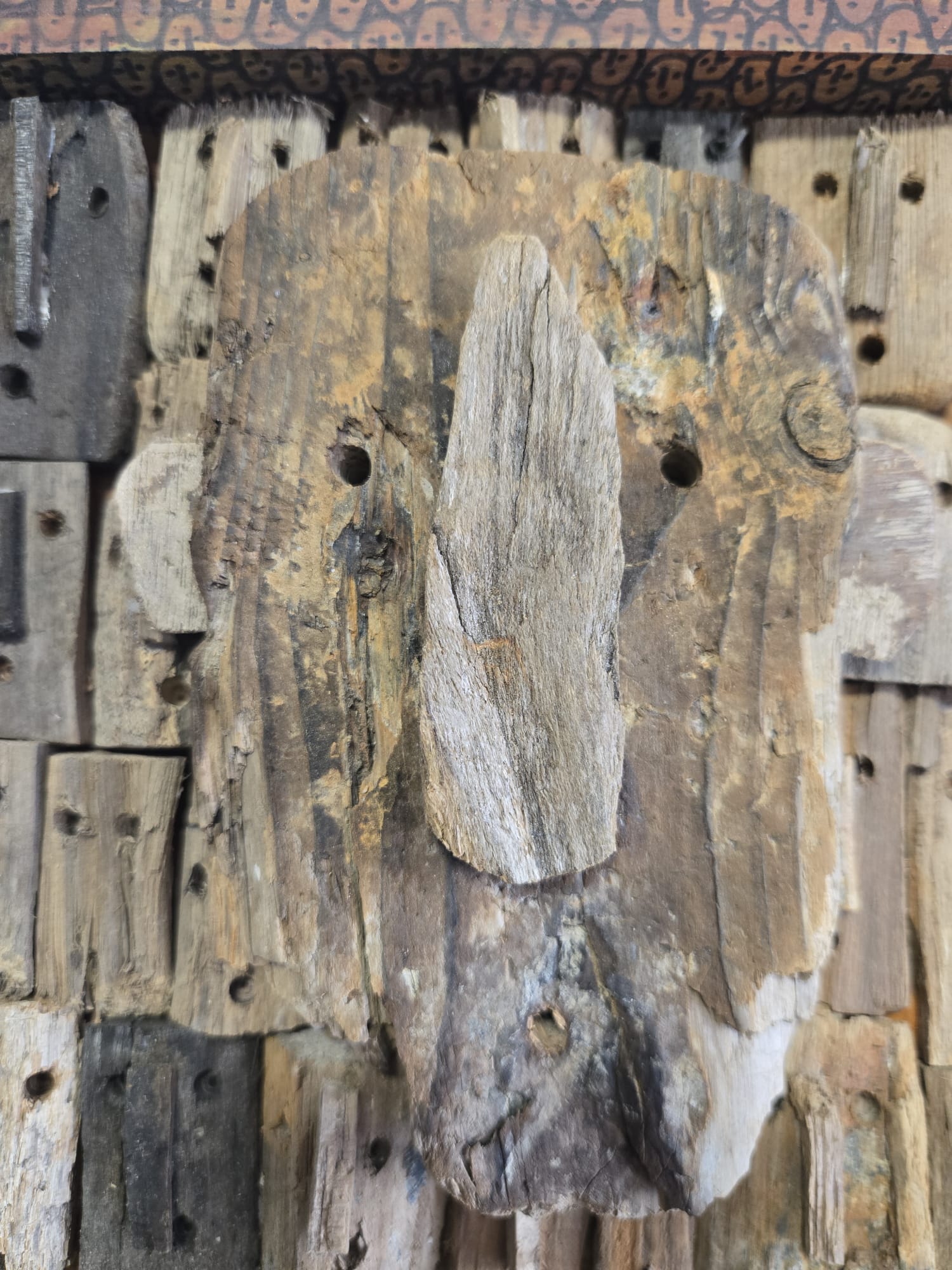 BOURLIER Marc. Physionomie. D 15 - immagine 3