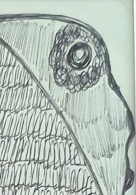 Ernst KOLB, Sans titre, P15 – Image 3