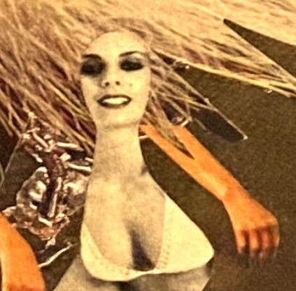 Simone LE CARRE GALIMARD, collage, P14 – Image 2