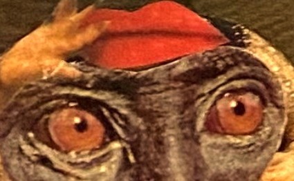 Simone LE CARRE GALIMARD, collage, P14 – Image 3