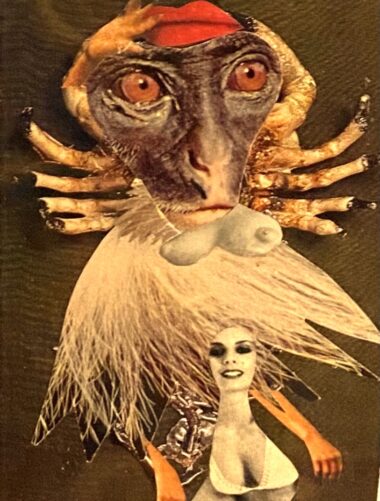 Simone LE CARRE GALIMARD, collage, P14