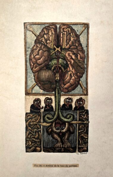 Gilles MANERO, Série anatomique P4