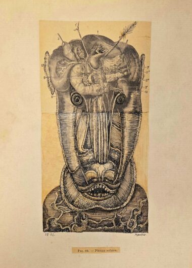 Gilles MANERO, Série anatomique P6