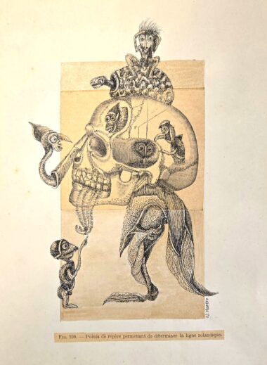 Gilles MANERO, Série anatomique P7