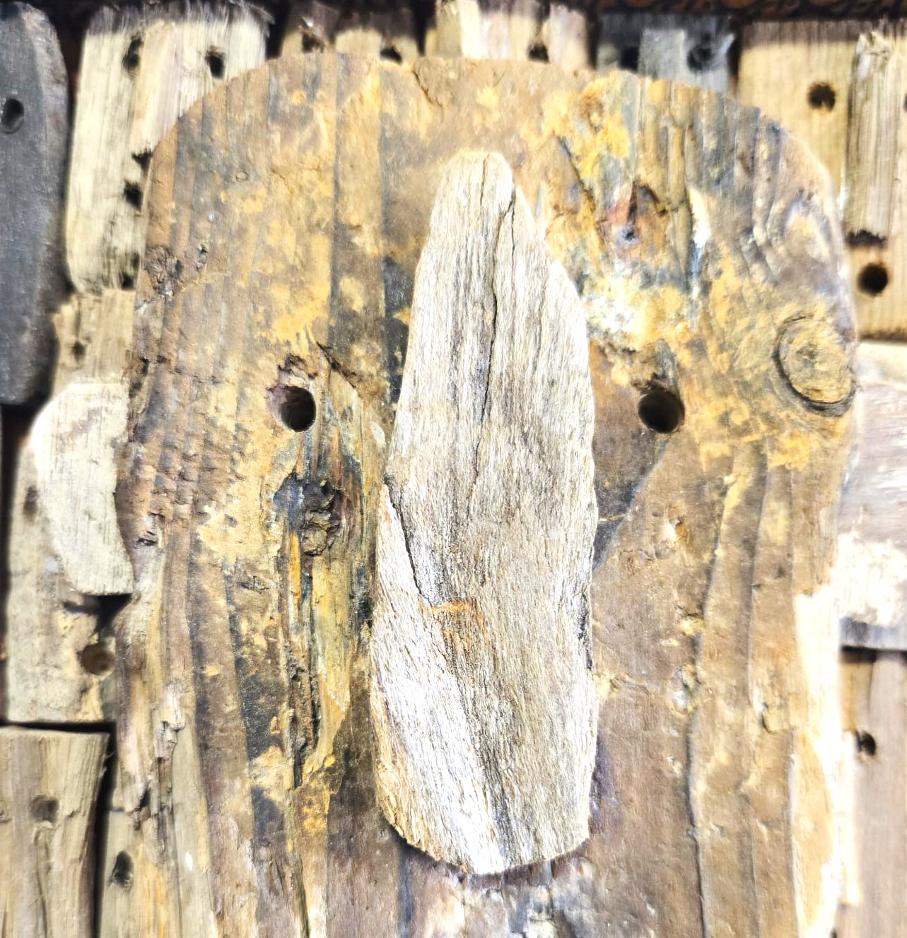 Marc BOULIER, Pysionomie , P8 – Image 2