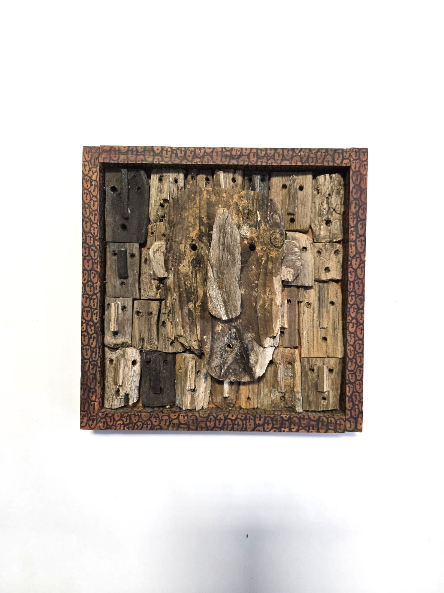 Marc BOULIER, Pysionomie , P8