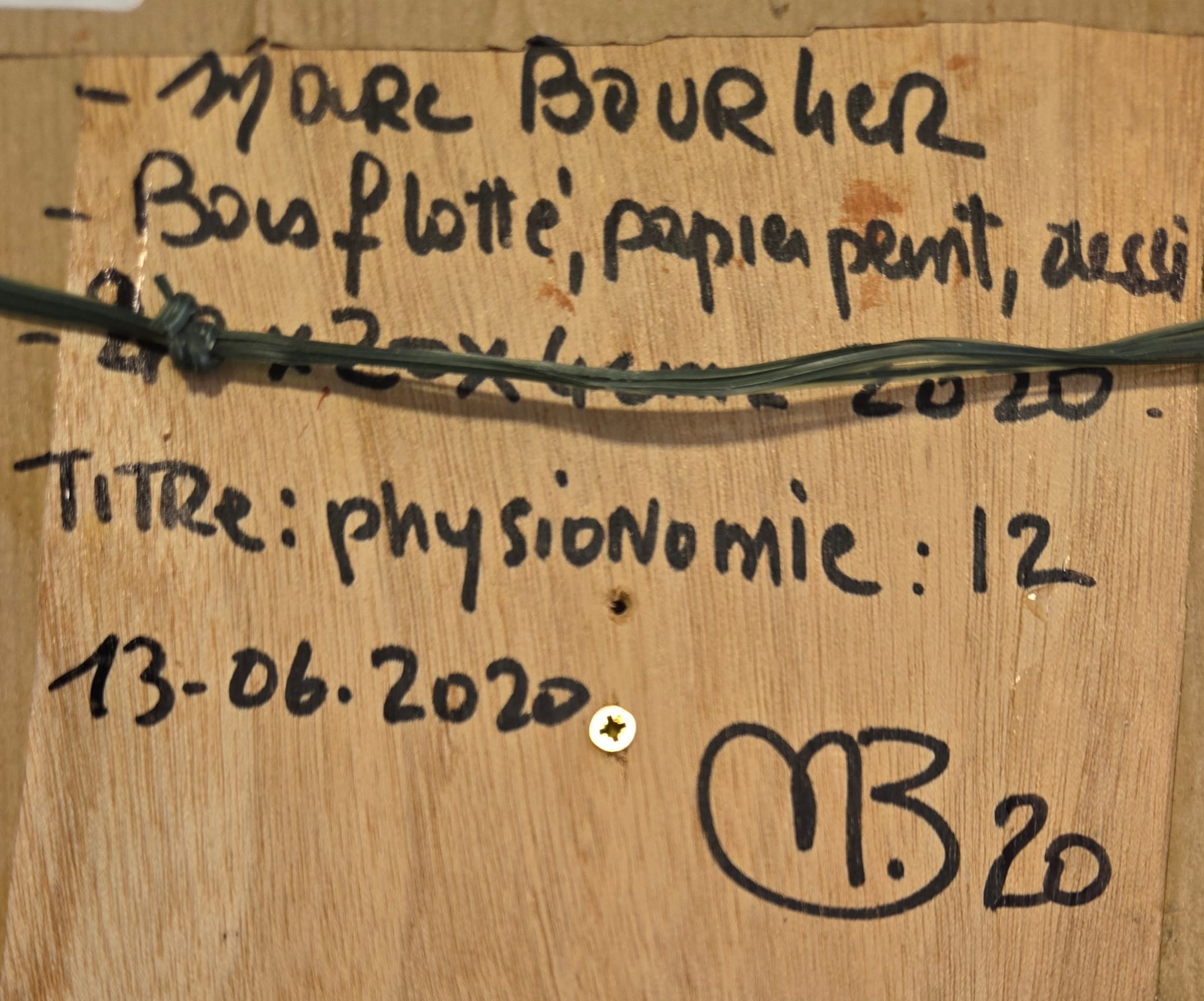 Marc BOULIER, Pysionomie , P8 – Image 3