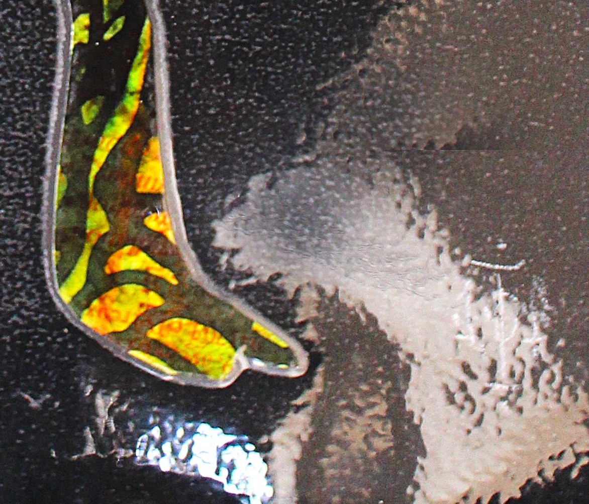 CICOLANI Davide, Série plastifiée 6 – Image 3