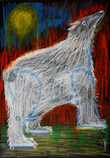 CICOLANI Davide, Série blanche 5